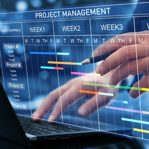 Project Management & Coordination